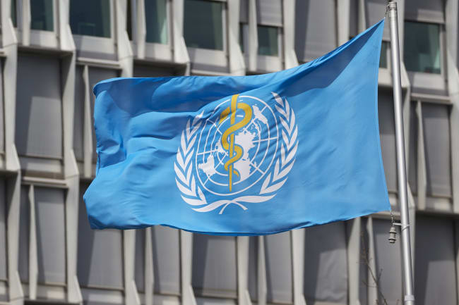 2024 WHO Board Meeting: Flexible Finances and Global Crises Top Agenda