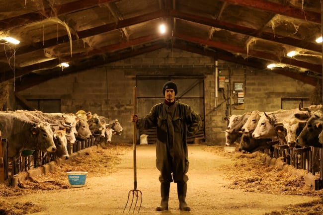 Polarization Threatens Food Security and Systems Globally