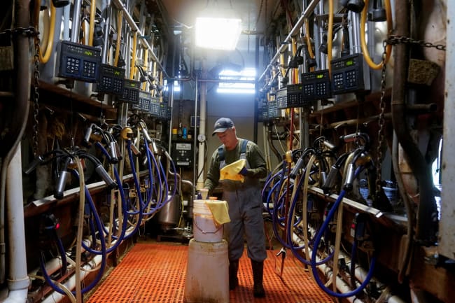 Bird Flu, U.S. Cows, and Economic Consequences
