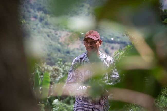 A Mayan Farming Technique to Fight Guatemala's Food Insecurity