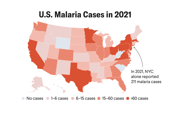 A U.S. Response to Mosquito-Borne Disease Outbreaks