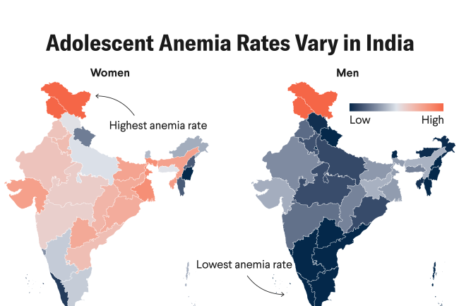 Anemia and School Attendance in India