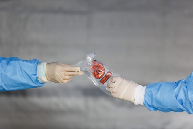Prioritizing Prevention in the Pandemic Treaty