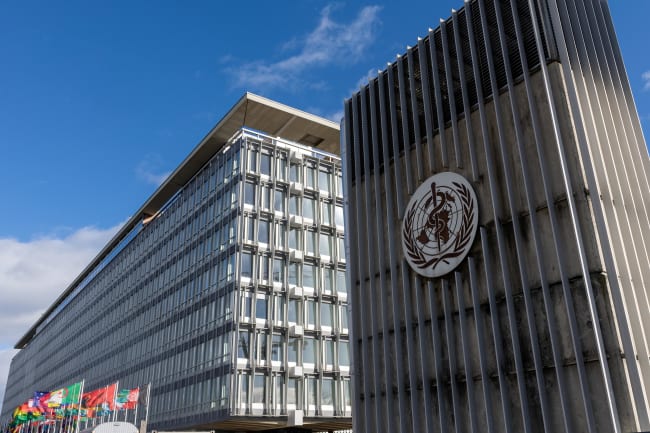 The WHO&#039;s Funding Gap: Filling the Medical Diplomacy Void