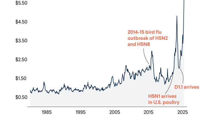 U.S. Egg Prices See Largest Jump Since 1980 as Bird Flu Outbreaks Continue