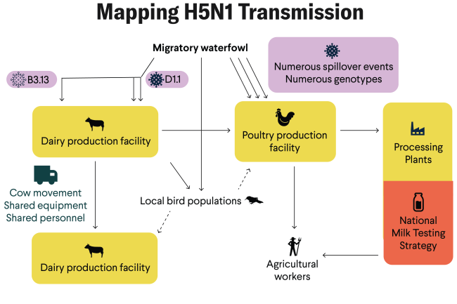 Time to Act on New Bird Flu Spillovers