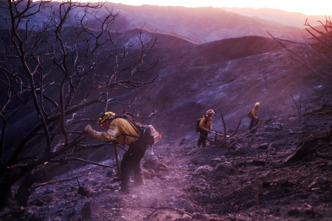 Searching for Elderly Patients After the Los Angeles Wildfires