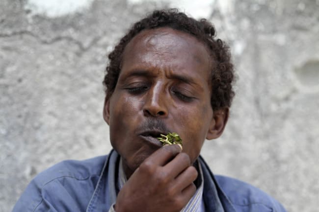 A man chews khat, in Mogadishu, Somalia, on August 10, 2014.