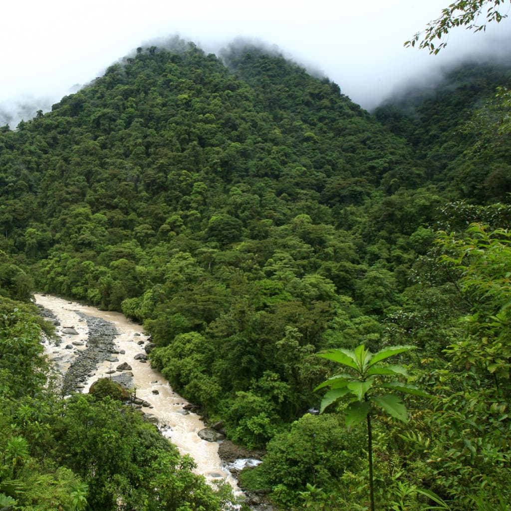 <p>General view of the National Park Tapamti in Orosi, 80 miles (128km) of San Jose May 25, 2007.</p>
