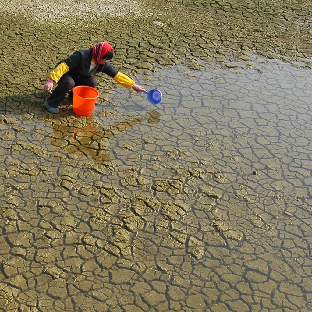 Timeline: UN Climate Talks