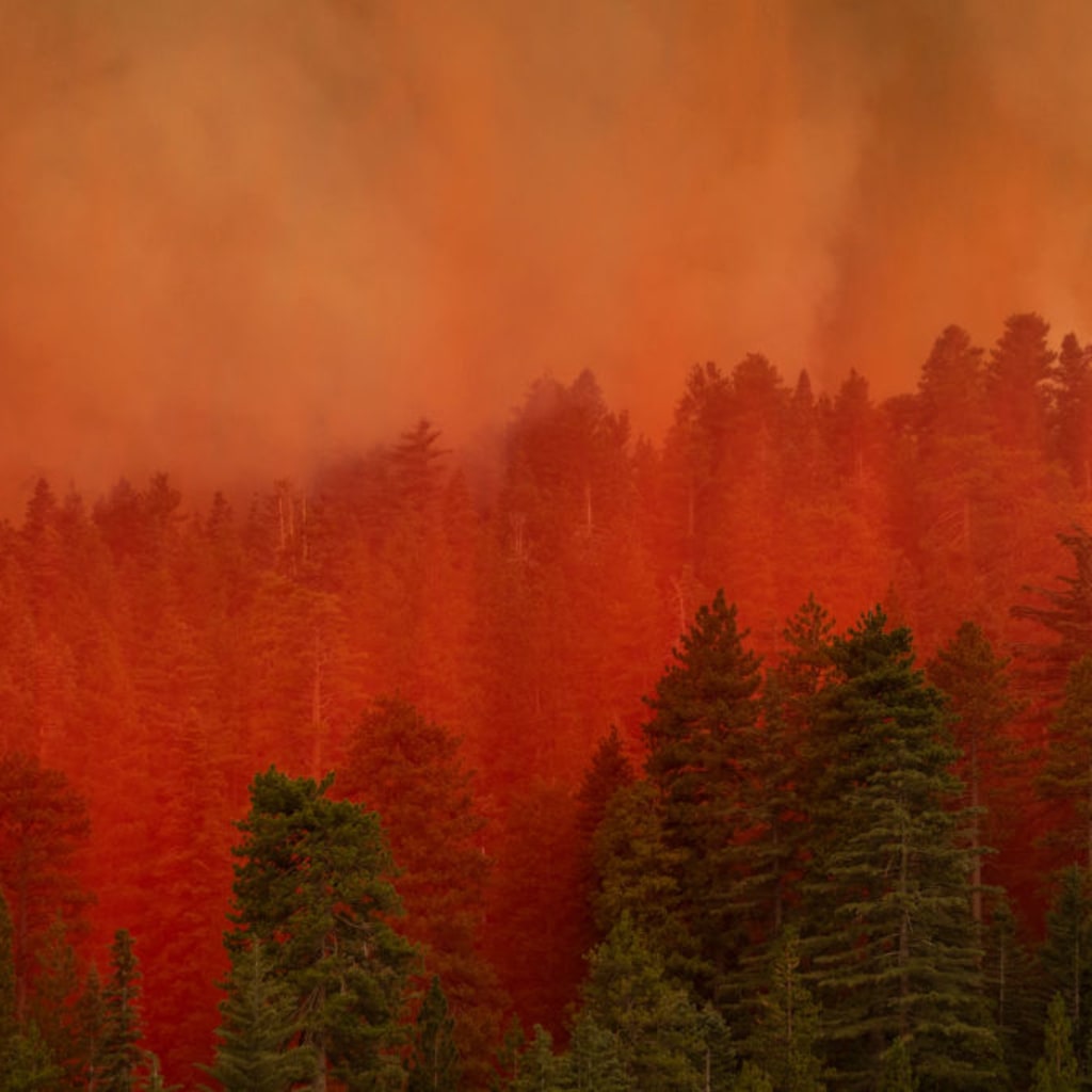 <p>David McNew/Getty Images</p>
