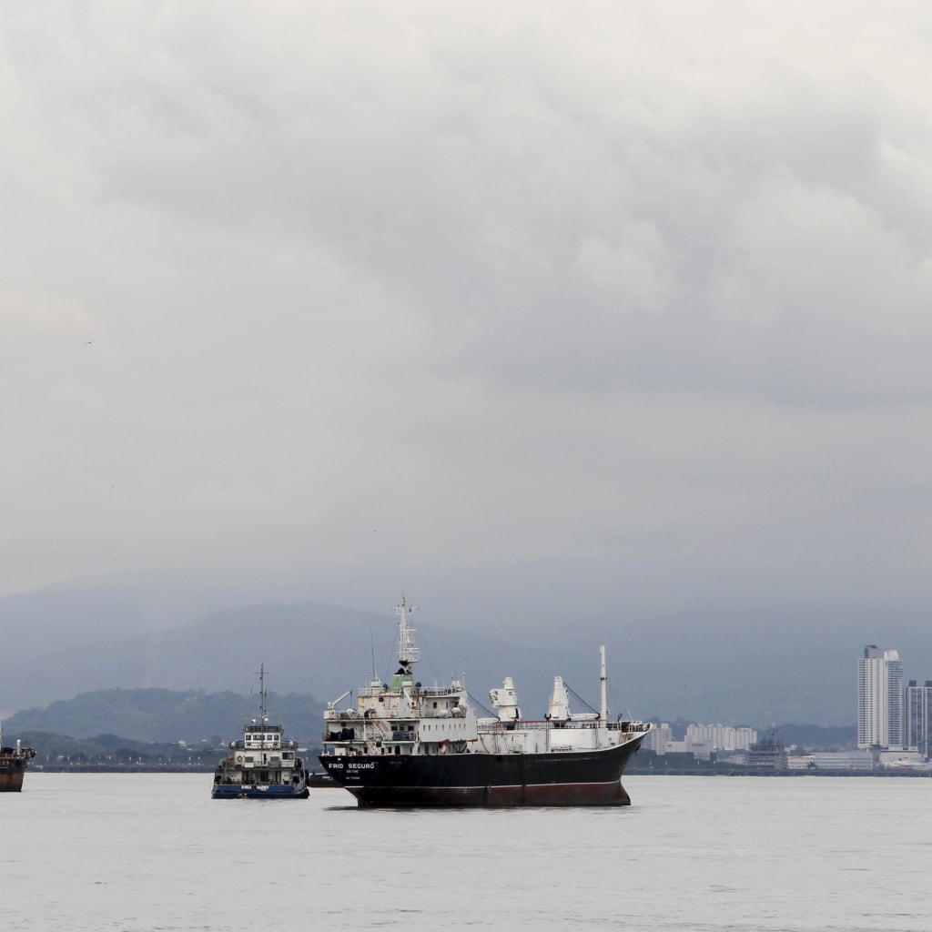 <p>Cargo ships are seen as they wait to navigate through the Panama Canal on the pacific side of Panama City on August 10, 2015.</p>
