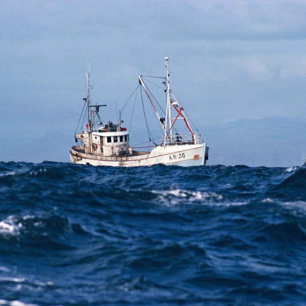 The U.N. High Seas Treaty, With Esther Brimmer image