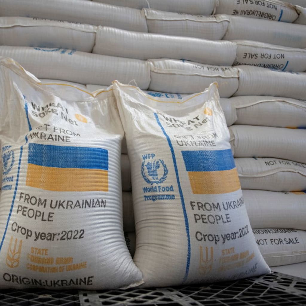 Global Food Insecurity, With Caitlin Welsh pic