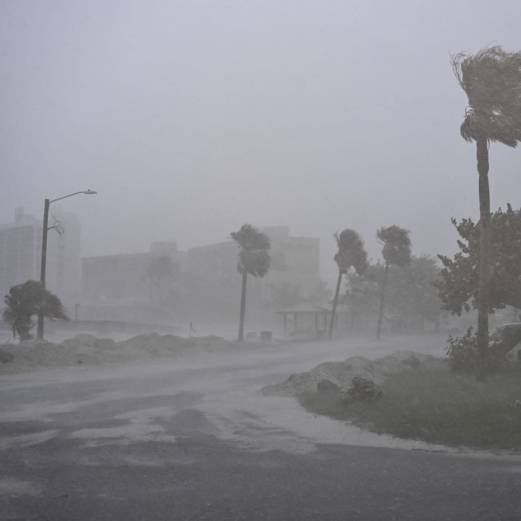 <p>Heavy winds and rain are seen blowing over trees on the side of the road in Florida as Hurricane Milton approaches.</p>
