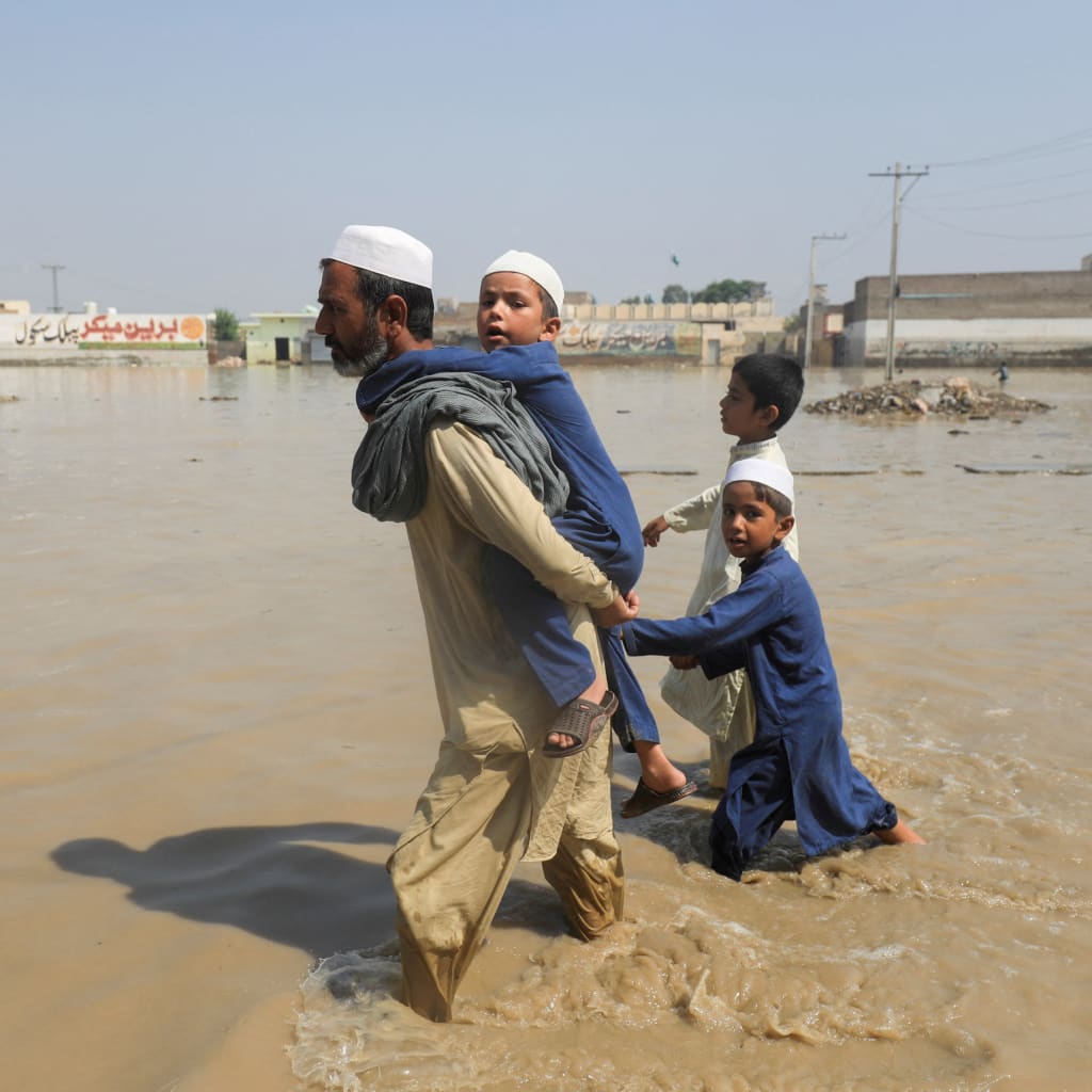 Fighting the Climate Crisis, With Gernot Wagner Image