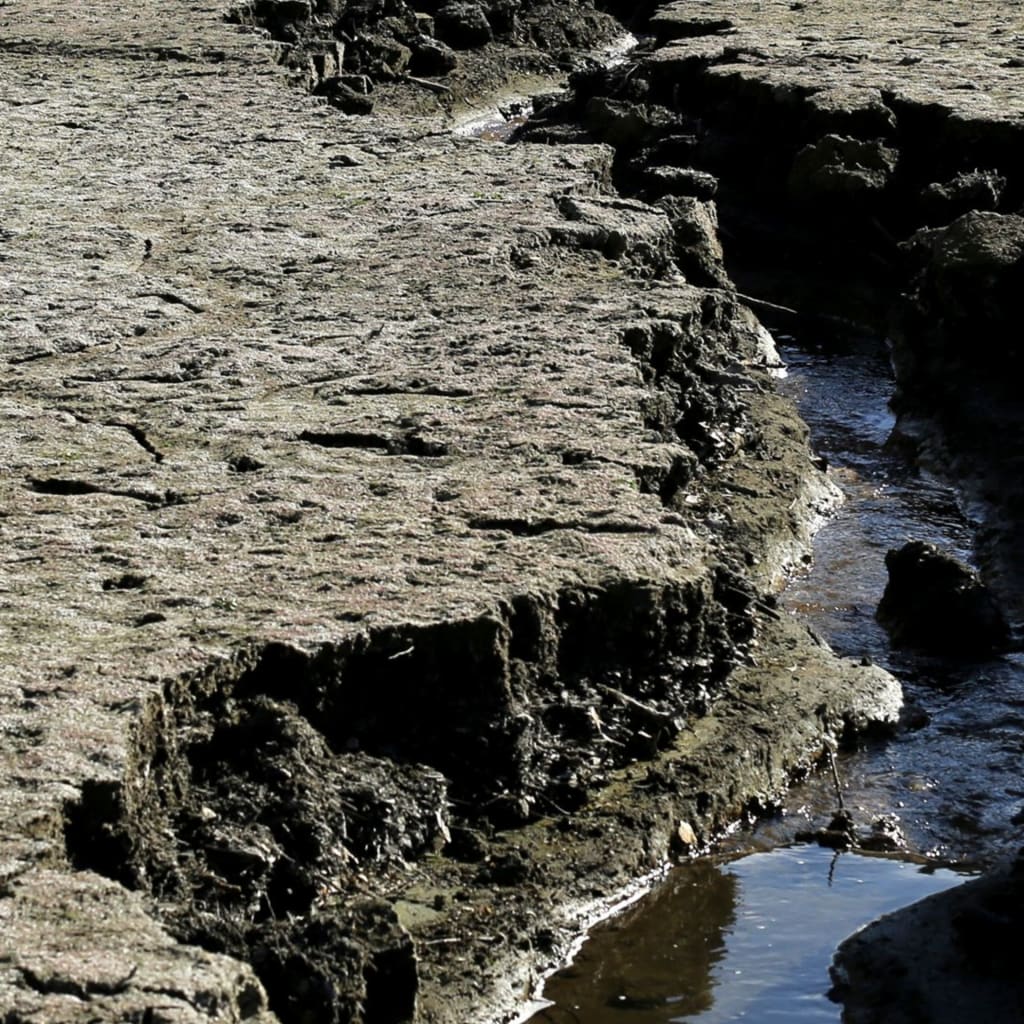 <p>A stream of water trickles on the bottom of the Almaden Reservoir near San Jose, California during a statewide drought emergency in 2014.</p>
