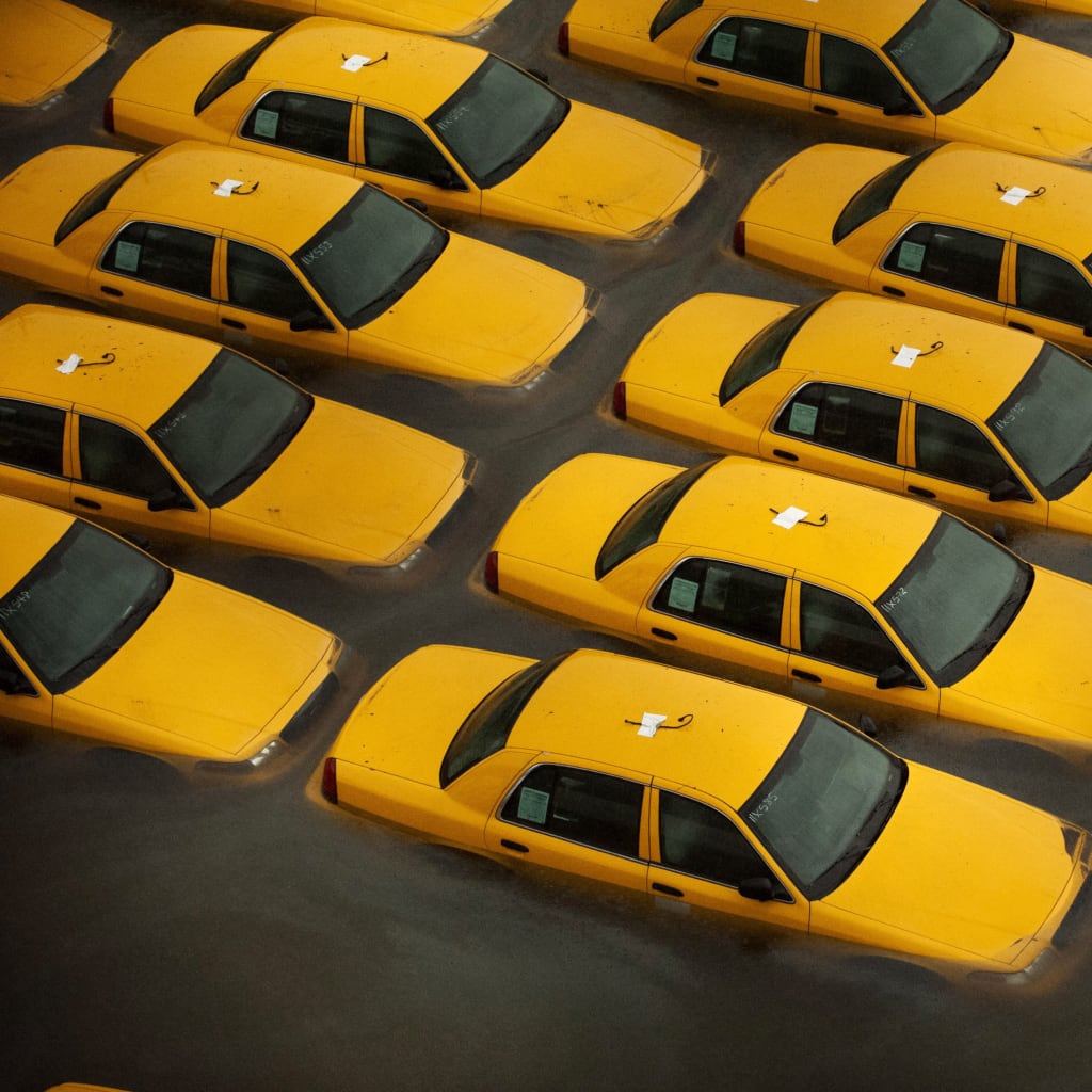 Climate Adaptation: Rising Tides in Coastal Cities Image