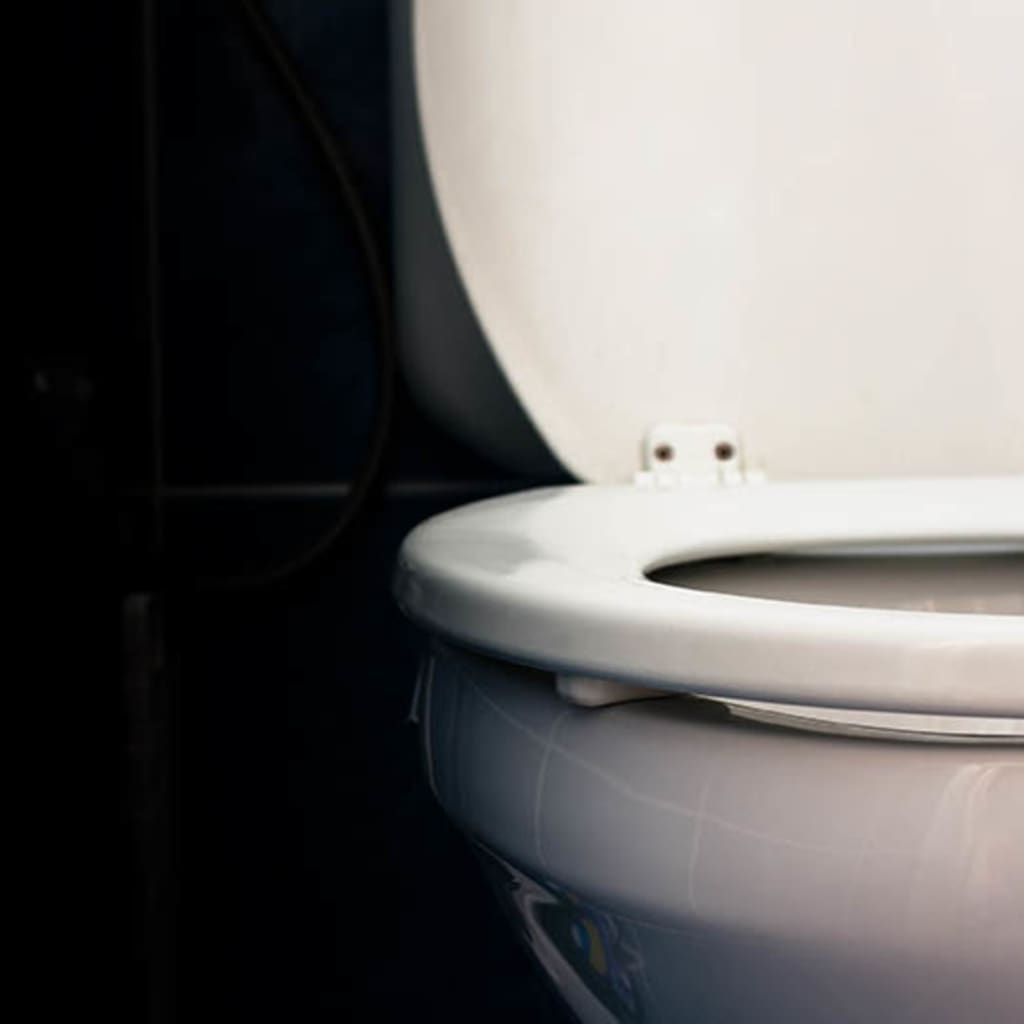 Let's Talk About Toilets