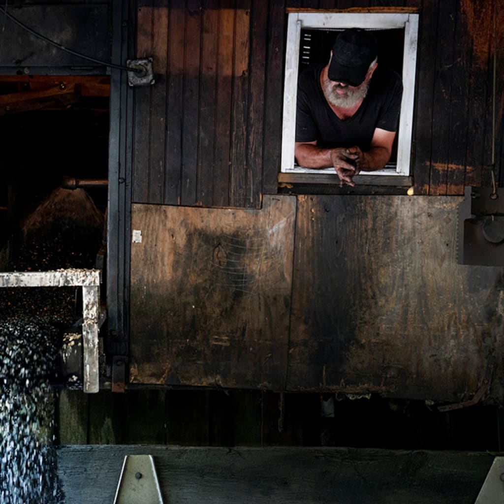 transition 2025 Series: The Future of U.S. Climate and Energy Policy