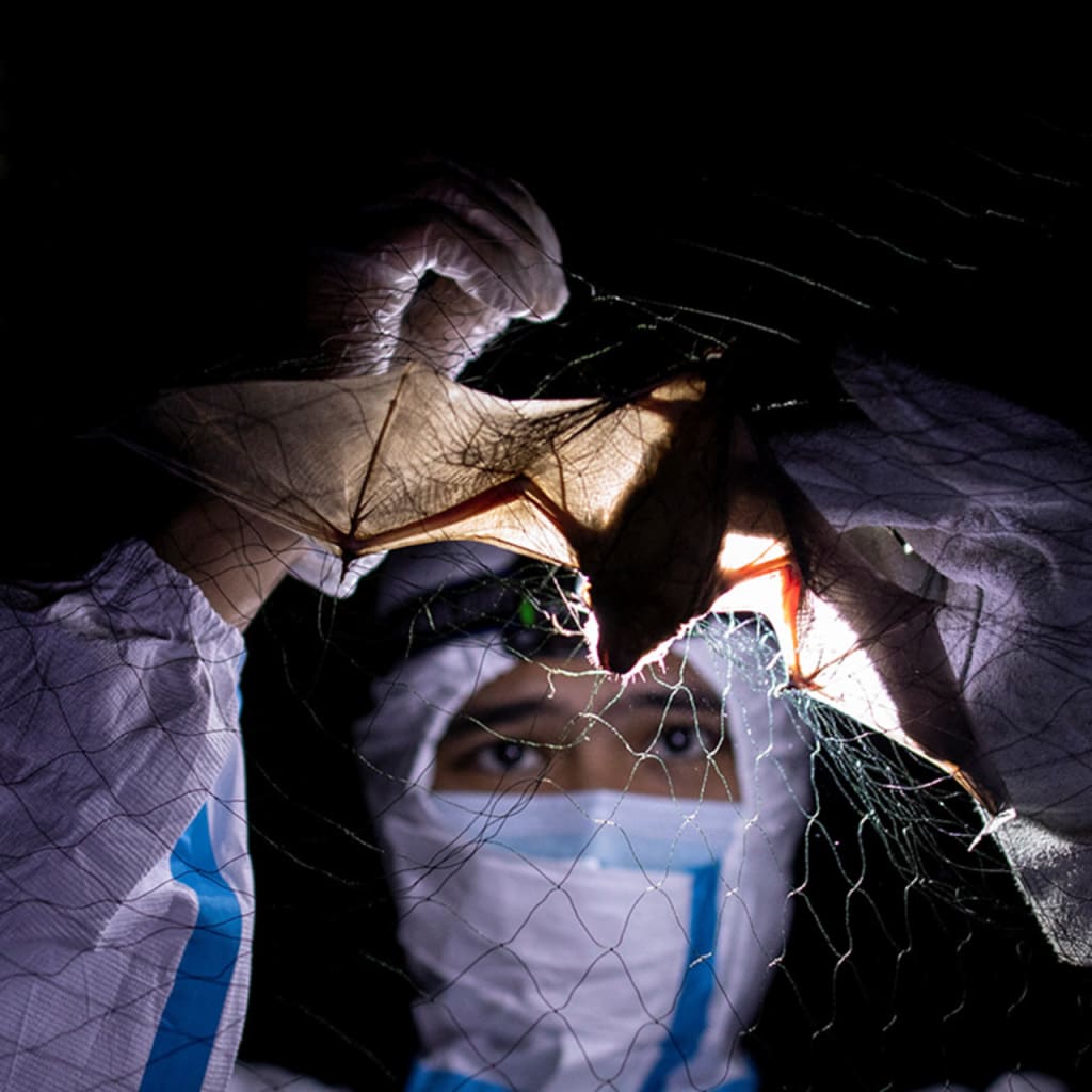 The Pandemic Agreement and IHR Amendments After the World Health Assembly