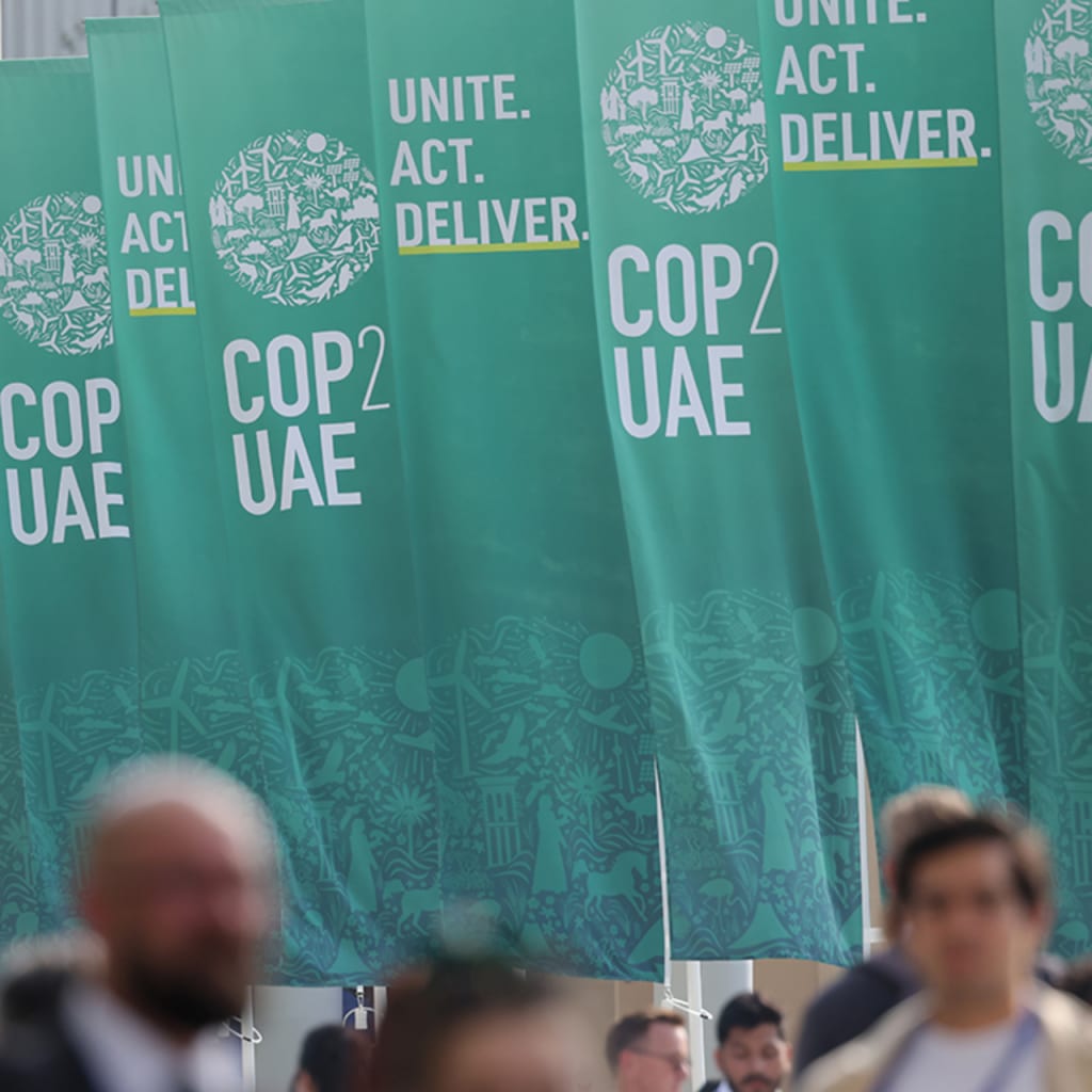 New Ideas to Fund our Planet’s Future: Finance-Based Strategies for Curbing Climate Change