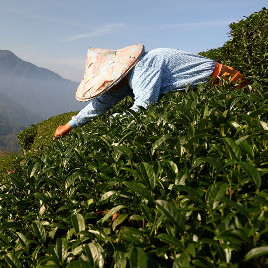 Accelerating Solutions at the Intersection of Climate Change and Food Security