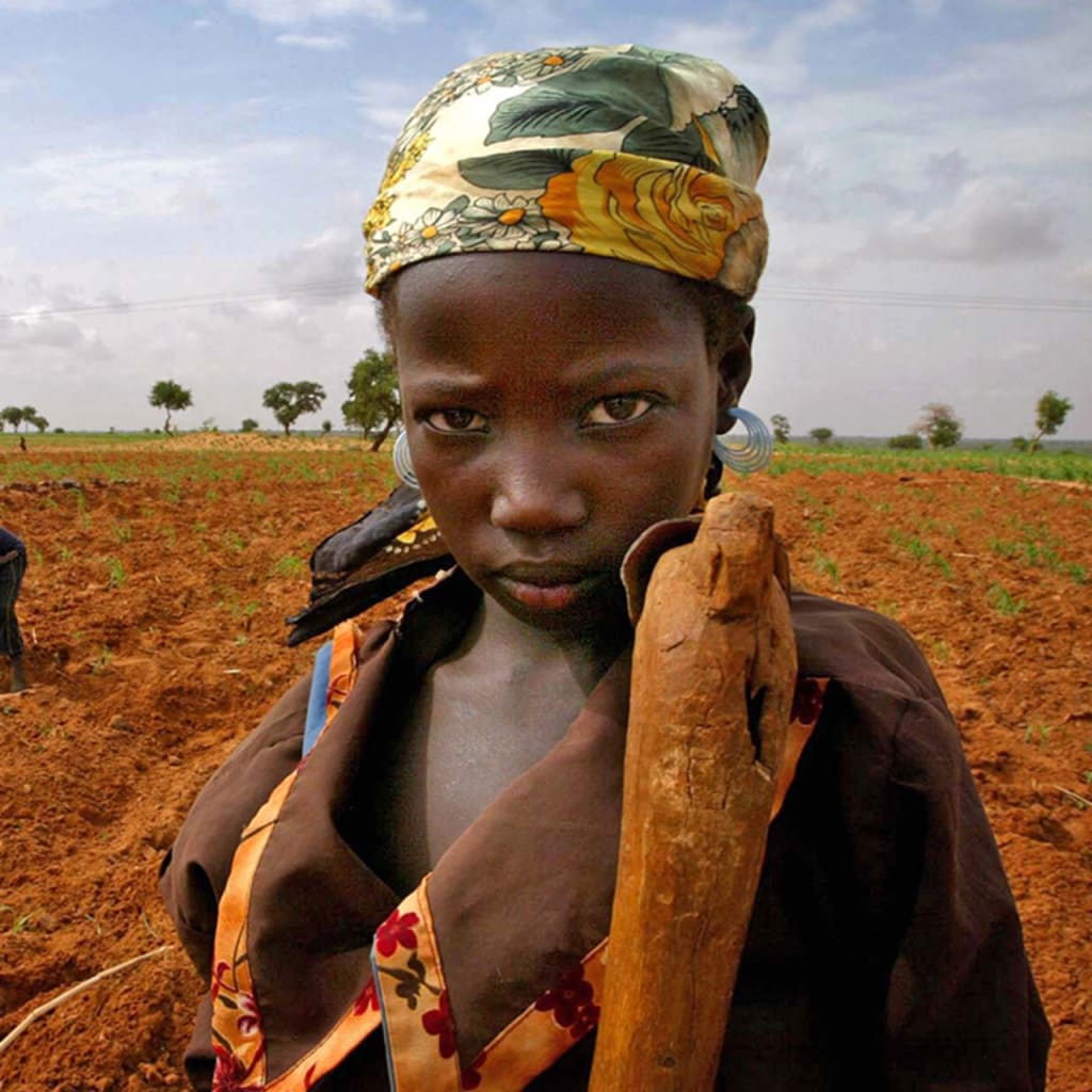 U.S.-Africa Policy in a Second Trump Term