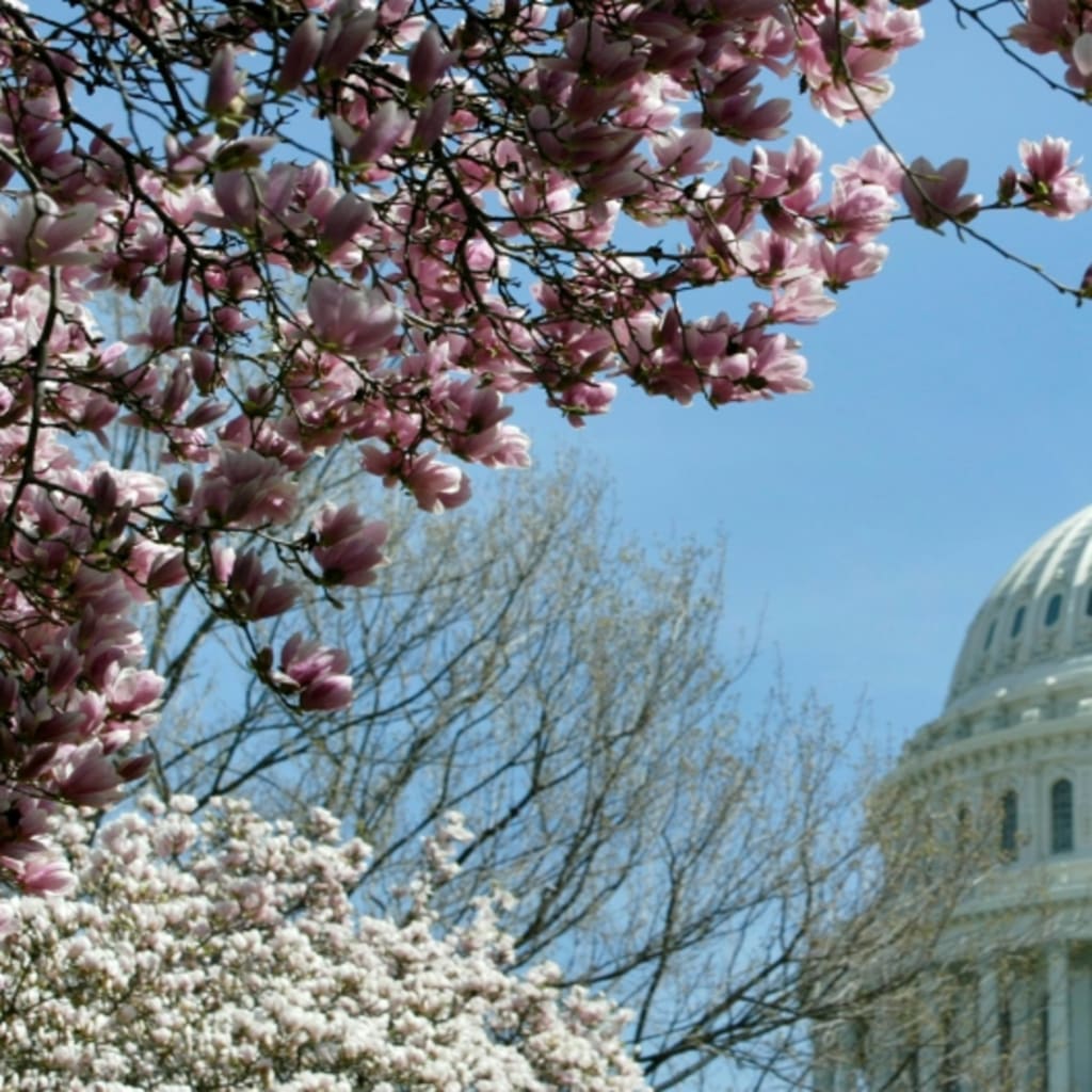 9/28/22 Acad Webinar Image