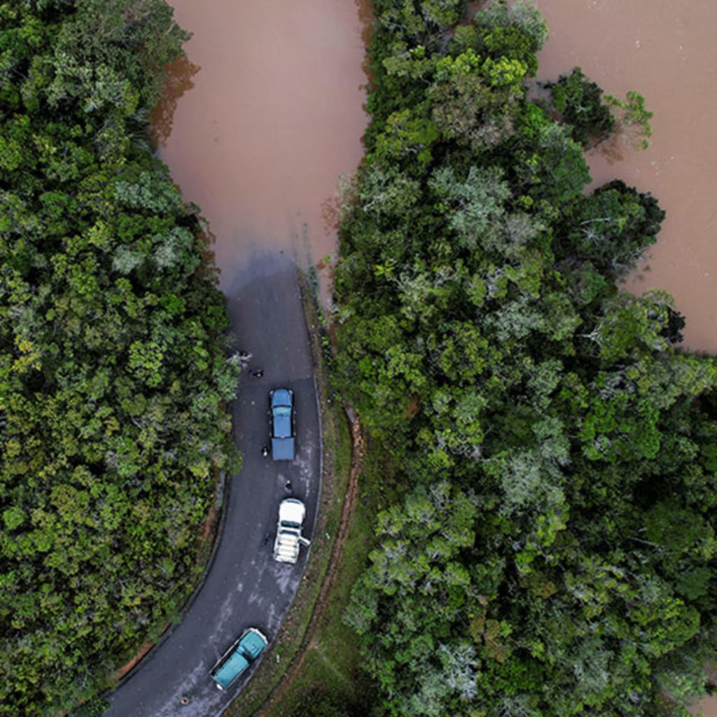 The Growing Risk of Climate "Tipping Points": Scientific Evidence and Policy Responses