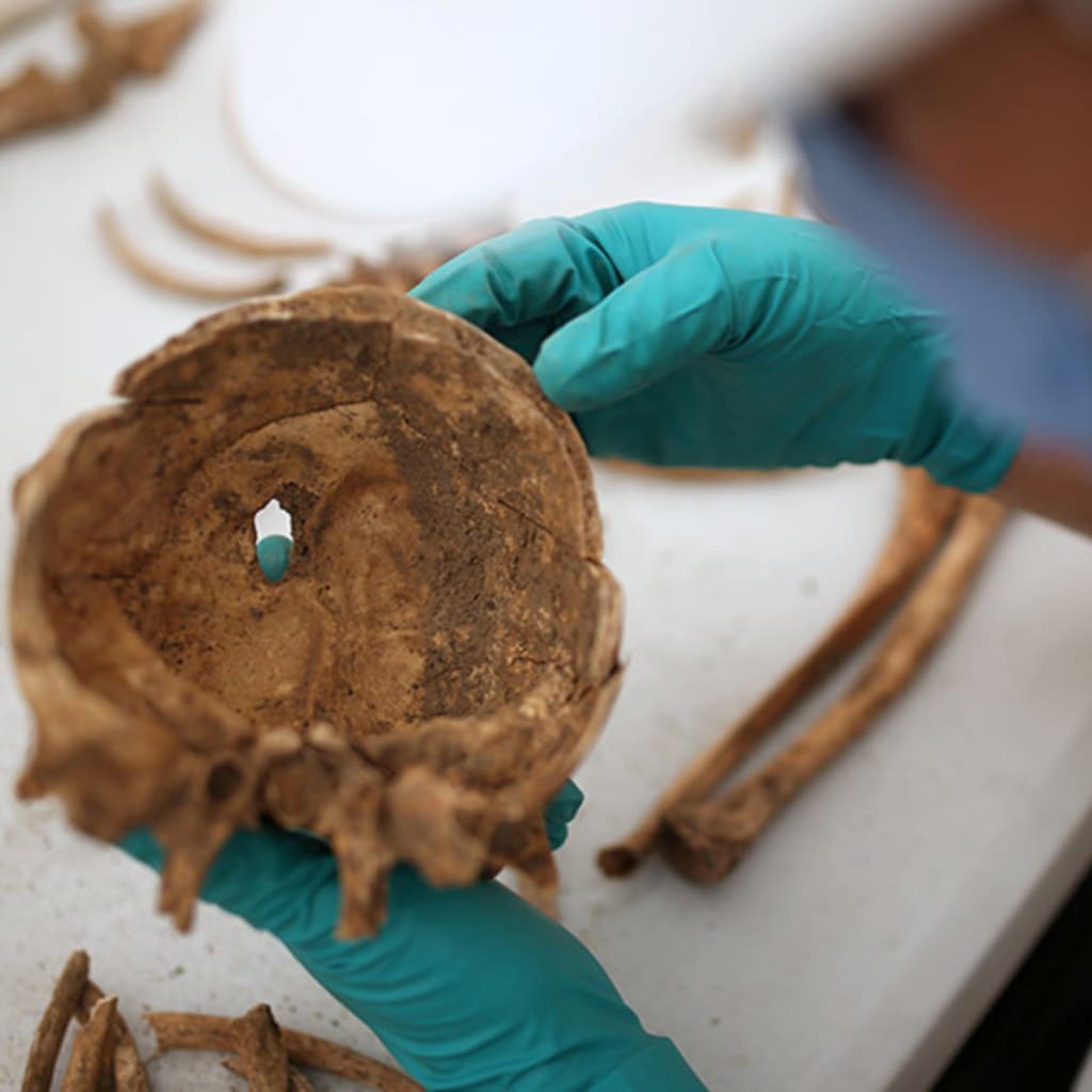 Why Economics Needs Anthropologists