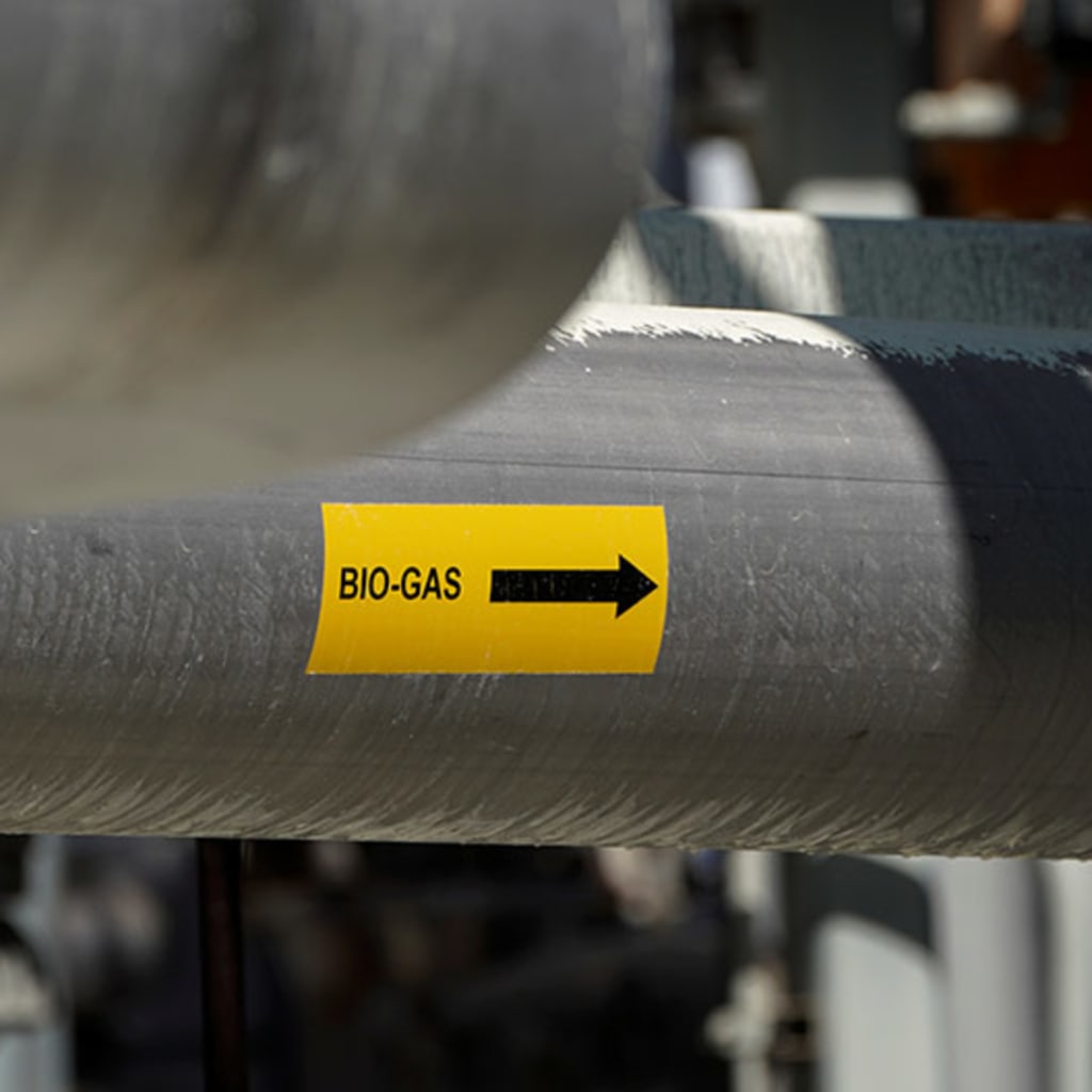 Confronting Climate Change: Methane Emissions and the Environment