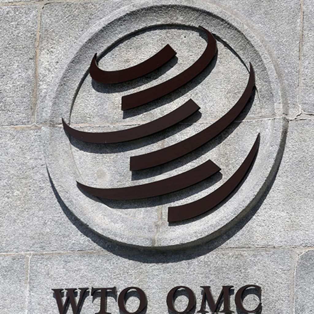 What Is Next for the WTO?