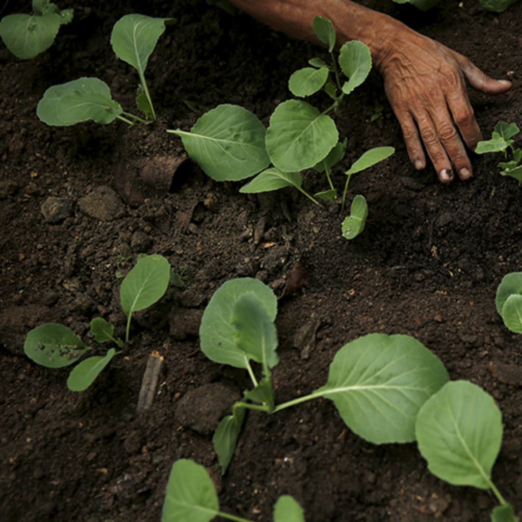 <p>Pilar Olivares/Reuters</p>
