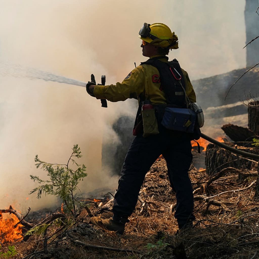 Term Member Virtual Meeting: Recover, Rebuild, Resilience: California’s Post-Wildfire Future