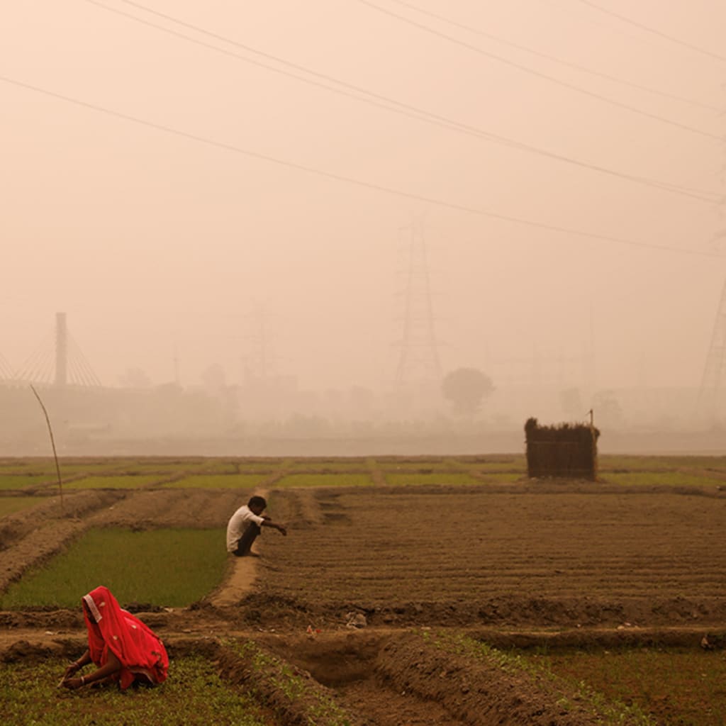 Virtual Roundtable: Clearing the Air on Air Pollution