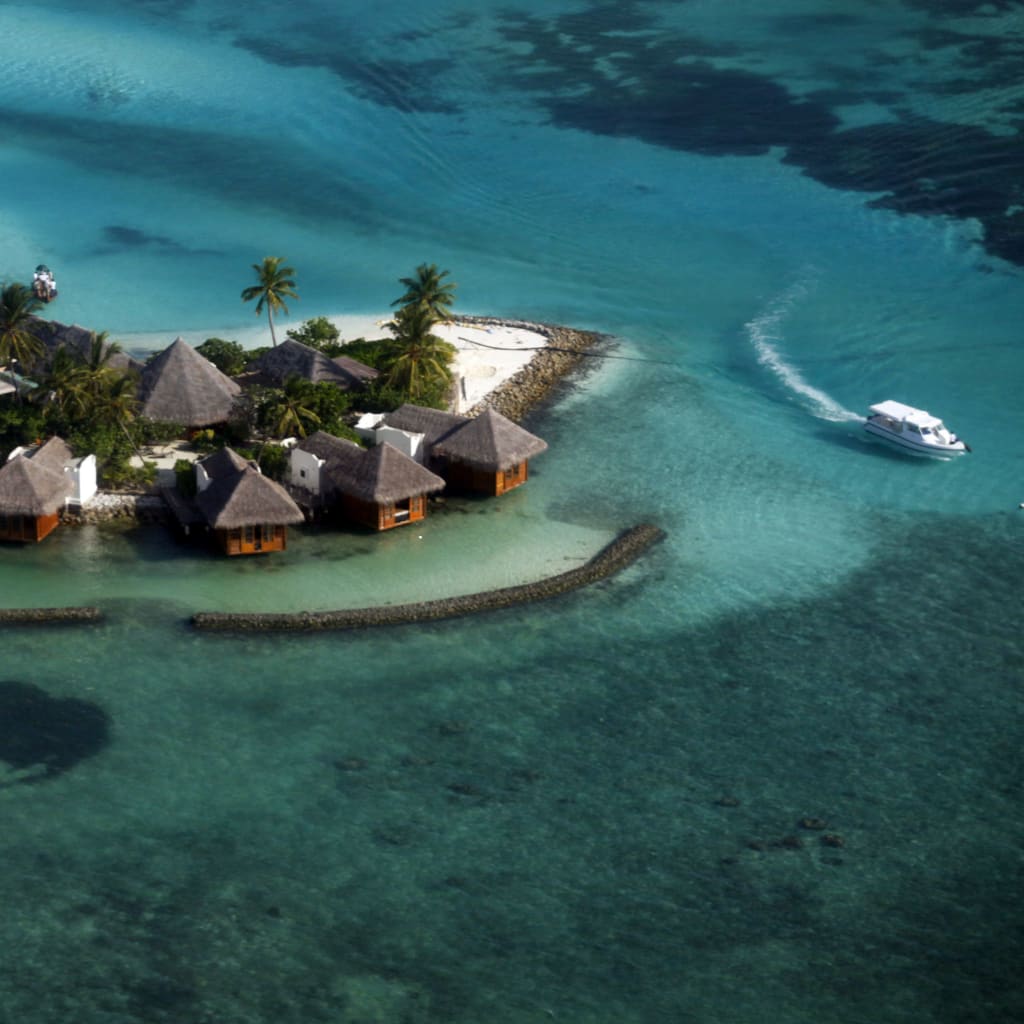 Screening and Discussion of PBS Series "Changing Planet: Coral Special"