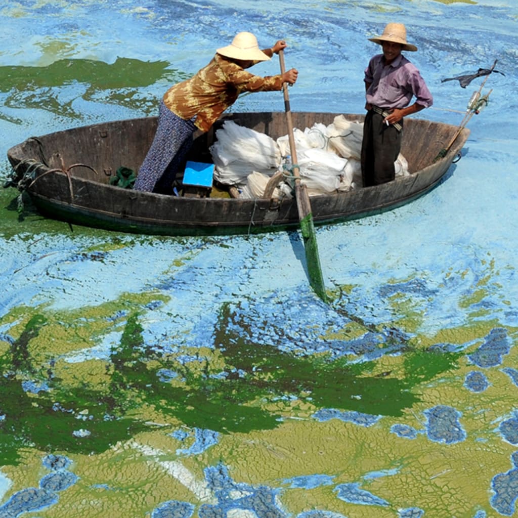 Daughters and Sons Guest Event: From Image to Action—Raising Climate Awareness