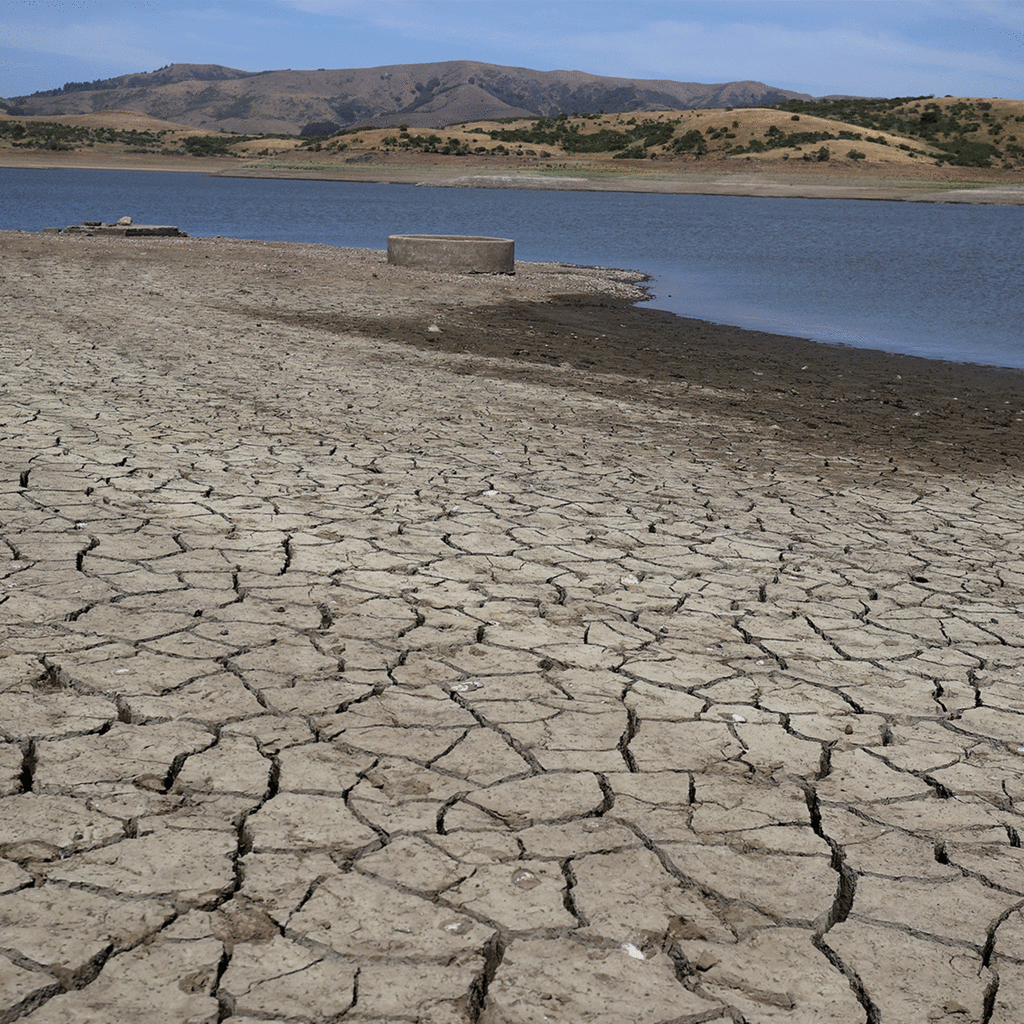 Dried up river bank