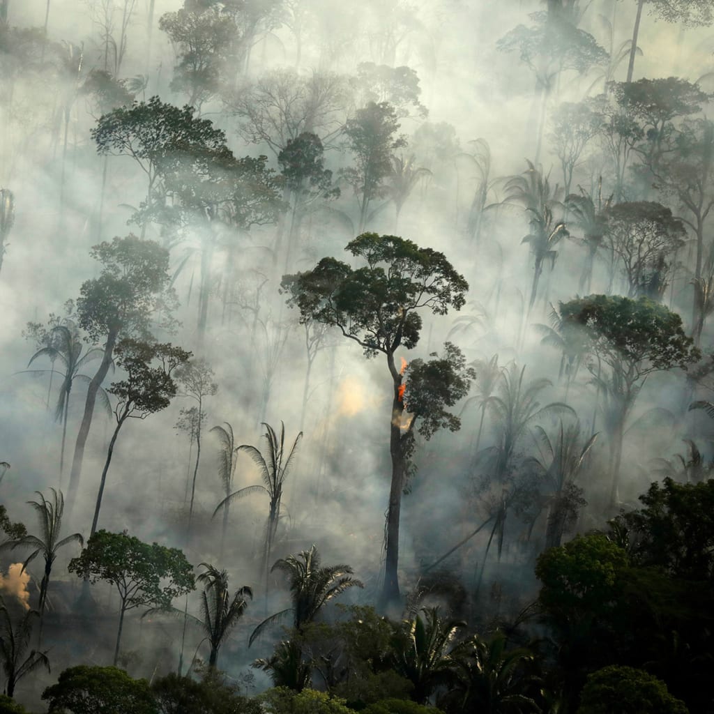 Deforestation
