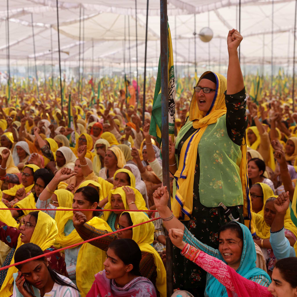 The Indian Farmer Protests