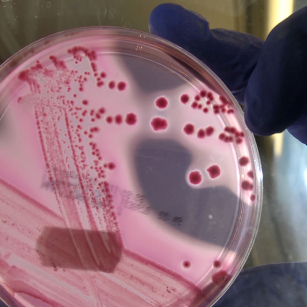 Antimicrobial_EC.jpg