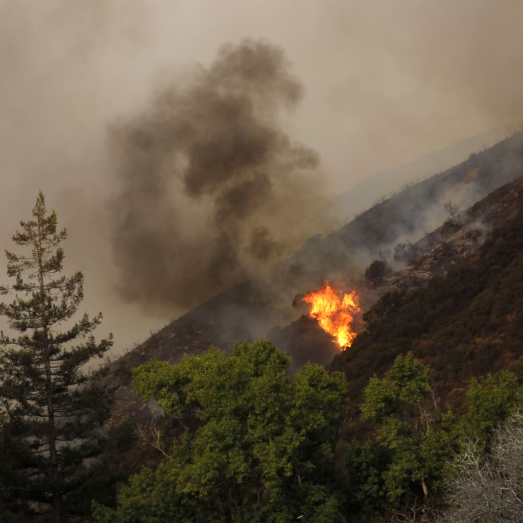 <p>Michael Fiala / Reuters</p>
