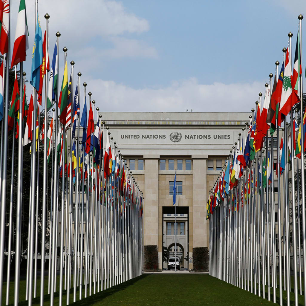 Flags are pictured outside the United Nations in Geneva, Switzerland.