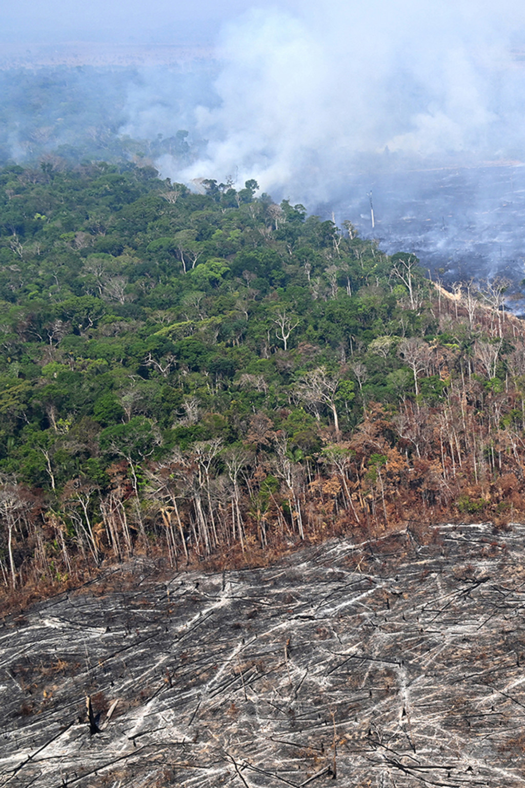 <p>An aerial view of a section of the forest destroyed by illegal fires in Amazonas State, Brazil.</p>
