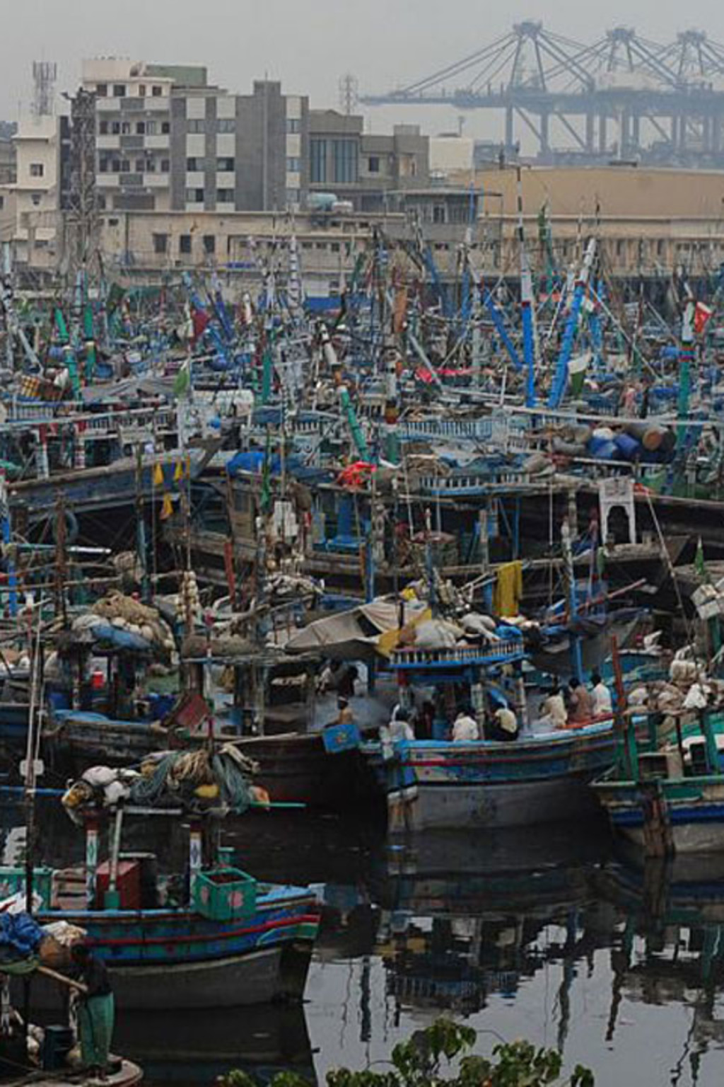 <p>Fishing boats anchored at Karachi Fish Harbor after a severe cyclone warning, October 29, 2014.</p>
