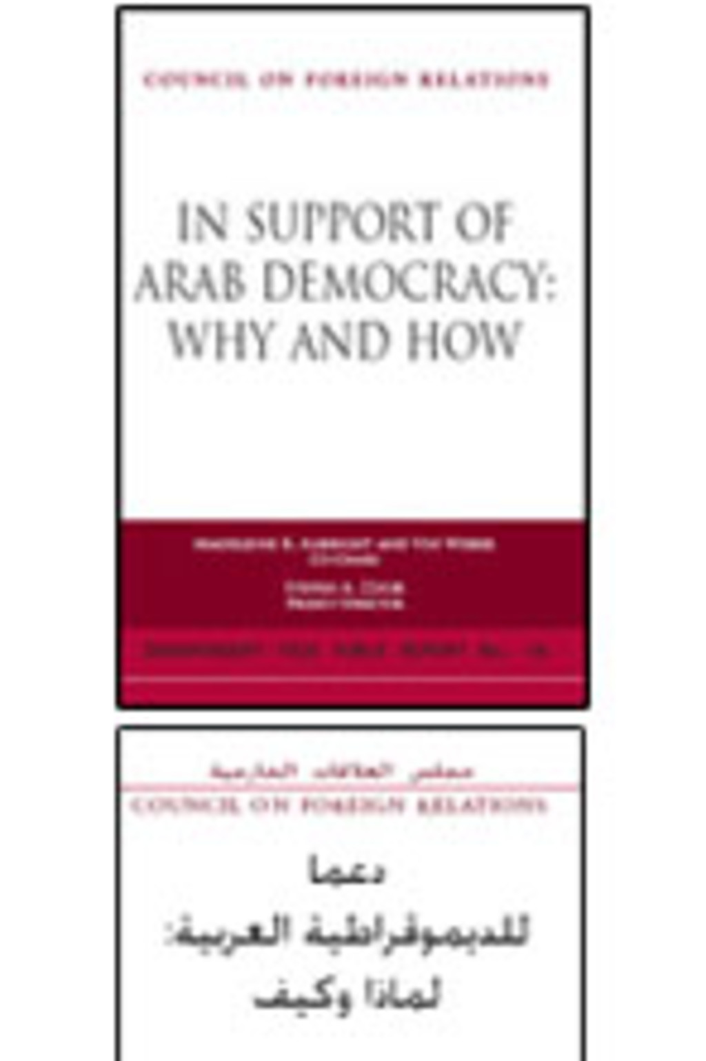 Arab_Democracy_2.jpg