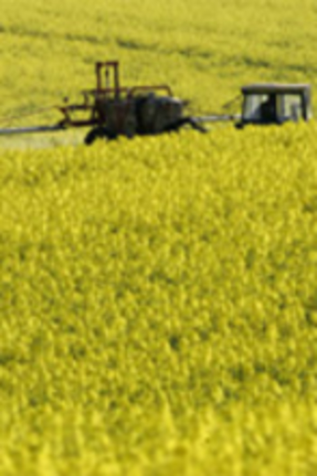 agriculture_eulrg.jpg