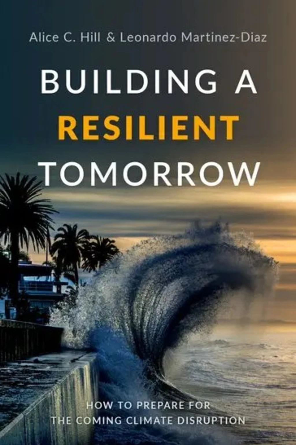 Building a Resilient Tomorrow book cover