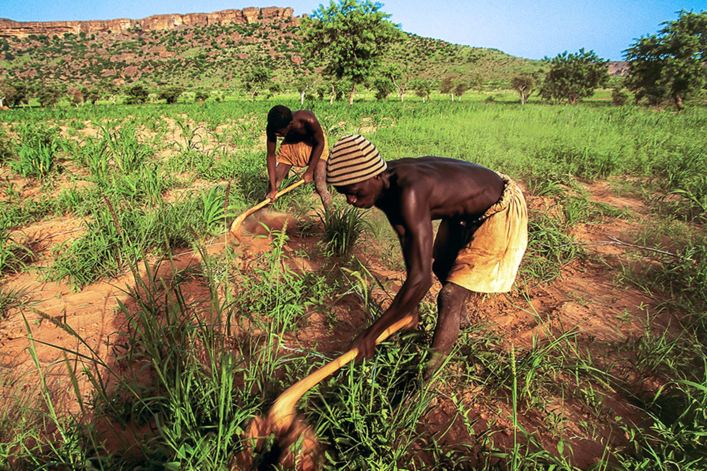 Poor Rural Mali Rural Poverty in Sub-Saharan Africa | Council on Foreign Relations